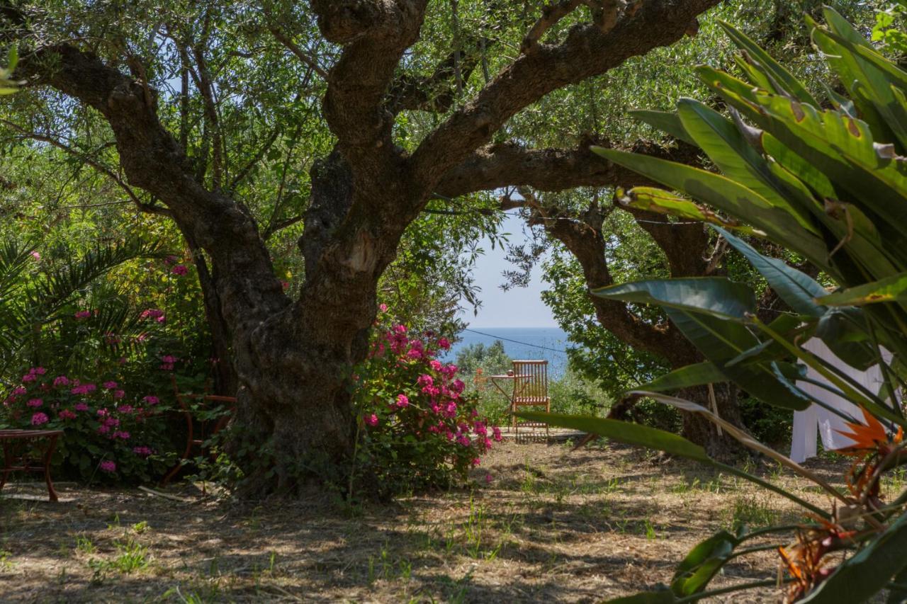 Villa Anta House By The Sea Lithakia  Exterior photo